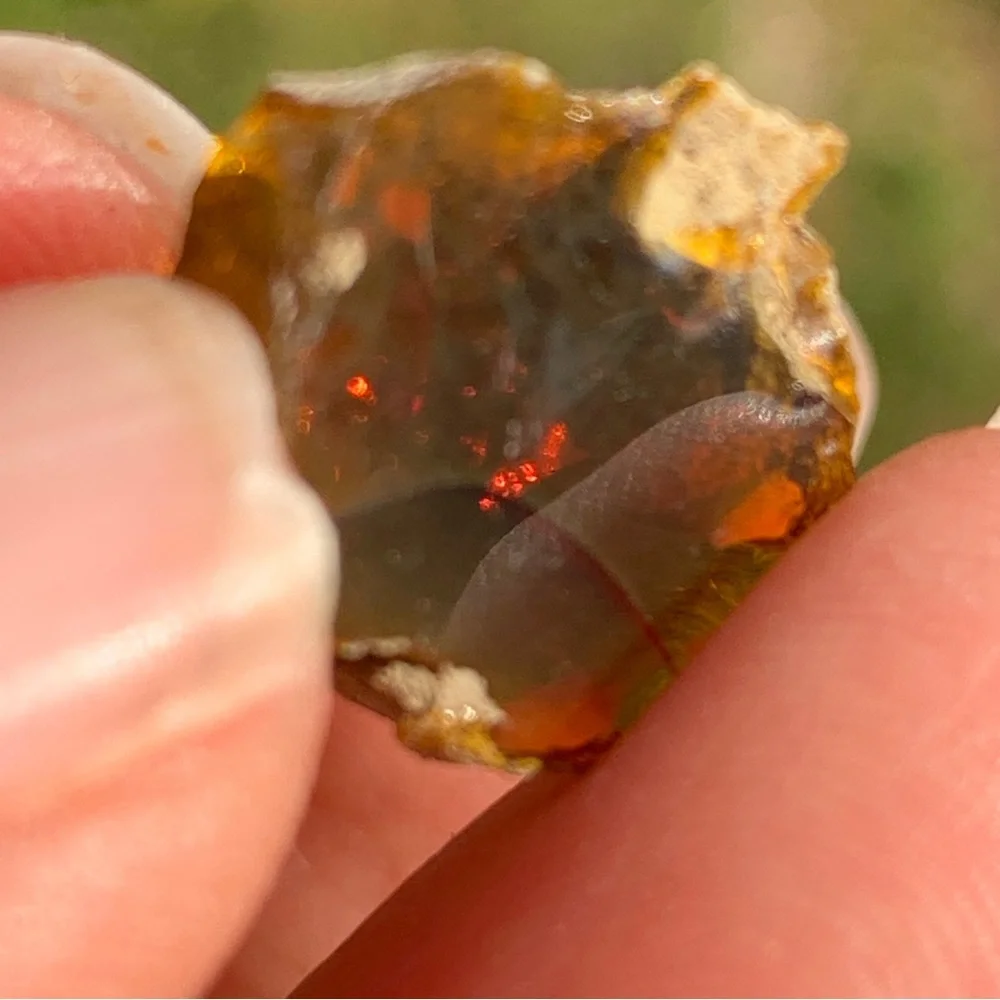 Dark Welo 6.60Ct Very Rare Ethiopian Dark Base Welo Opal Rough
